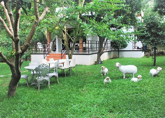Baantantara *