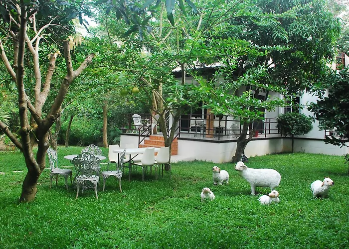 Baantantara